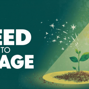 Seed to Stage Course